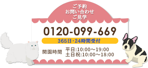 大阪のペット火葬 ペット葬儀なら吹田動物霊園 摂津市他大阪府内 東淀川区他大阪市内の火葬や納骨承ります